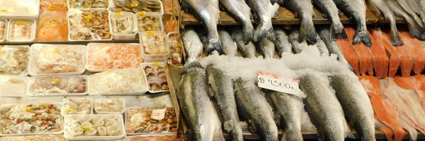 Au marché aux poissons d&rsquo;Angelmo, à Puerto&nbsp;Montt