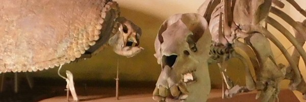 Une plongée dans le passé à La&nbsp;Plata