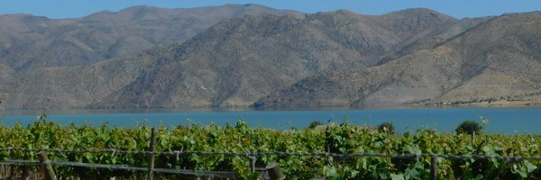 Dans la vallée de l&rsquo;Elqui, aux sources du&nbsp;Pisco