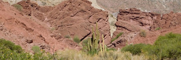 Découverte des environs de&nbsp;Tupiza