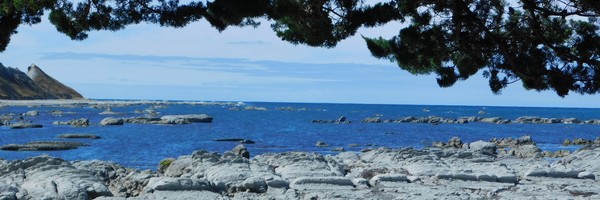 Le long de la côte est de l&rsquo;ile du Sud, d&rsquo;Akaroa à&nbsp;Picton