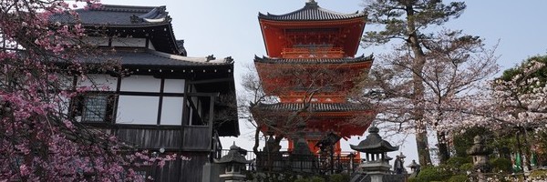 Promenade matinale dans le vieux&nbsp;Kyoto