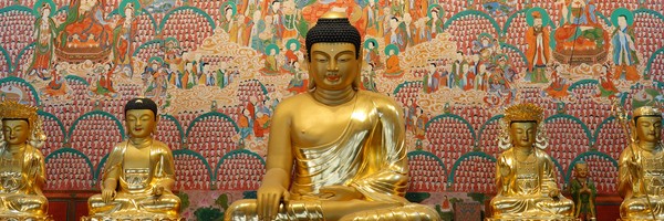 Du Japon à la Corée du Sud, premières impressions sur le pays du matin&nbsp;calme…