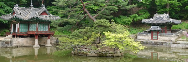 Jolie balade dans le Jardin secret du Palais Changdeokgung, à&nbsp;Séoul