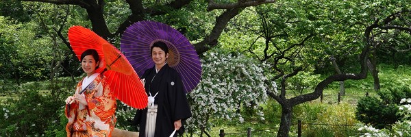 Jardin Sankeien et petits temples autour de&nbsp;Yokohama