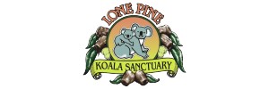 sponsor - Lone Pine Koala