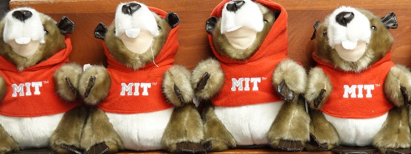 Balade à Harvard et au MIT, au cœur des plus célèbres Universités du&nbsp;pays