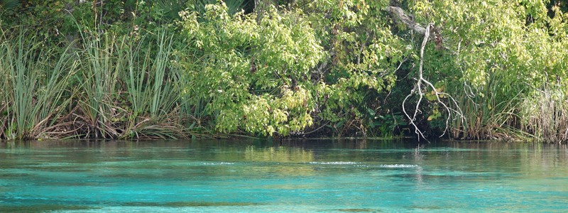 Du centre d’Orlando à Alexander Springs, une source naturelle aux eaux&nbsp;translucides