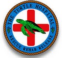 sponsor - turtle hospital