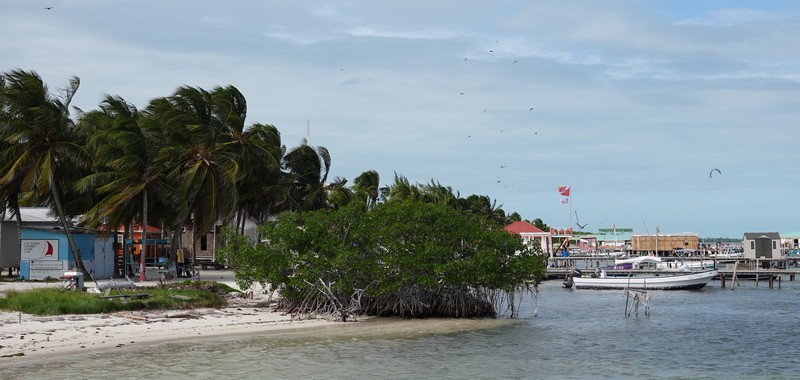 Belize - 10