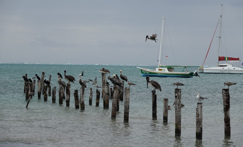 Belize - 51