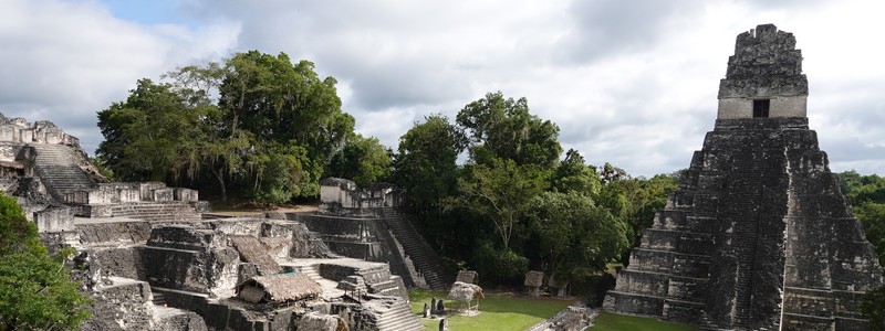 Belle balade à Tikal, au milieu de ruines mayas noyées dans la&nbsp;jungle