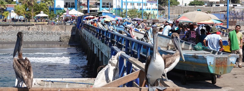 Quelques jours de repos du côté d’El Tunco et de Puerto de la&nbsp;Libertad