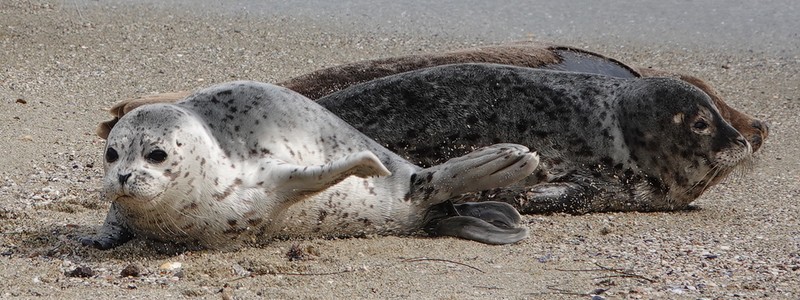 Encore d&rsquo;excellentes surprises, des plages de la Jolla à Old Town San&nbsp;Diego