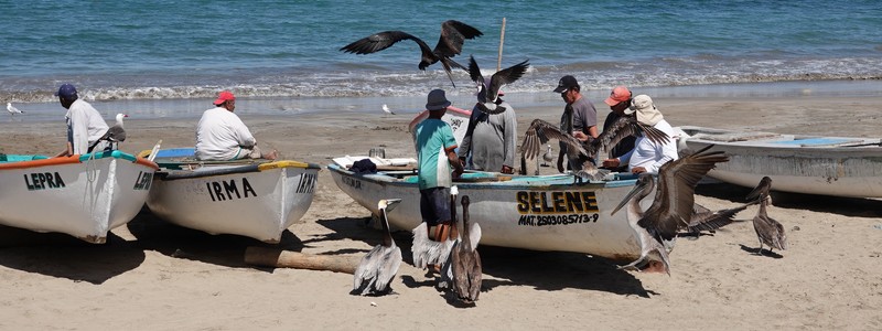 De Guadalajara – en passant par Mazatlan – à La Paz, en Basse&nbsp;Californie