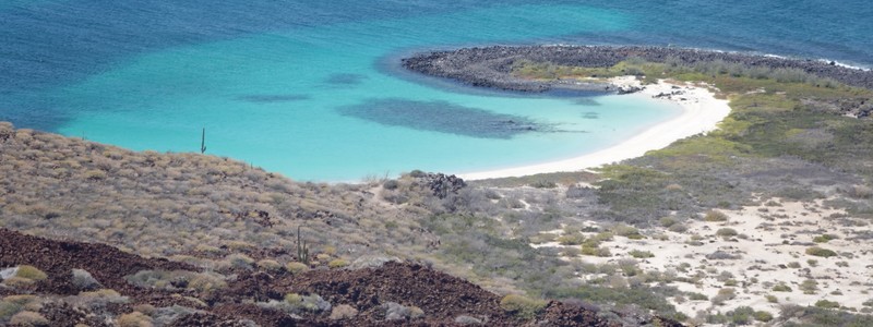 Une fabuleuse journée sur l’ile Coronado&nbsp;!
