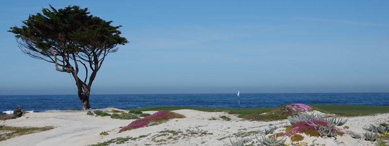 Découverte de la superbe côte Pacifique, dans les environs de Monterey et de&nbsp;Carmel