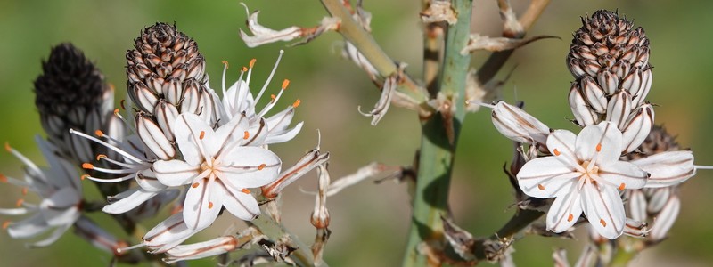 Arrivederci Sicilia, on reviendra&nbsp;!