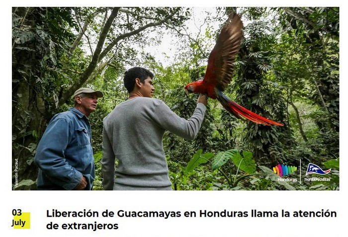 Honduras04.07.20 - 2