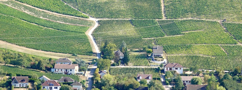 Découverte de la région de Sancerre à&nbsp;vélo