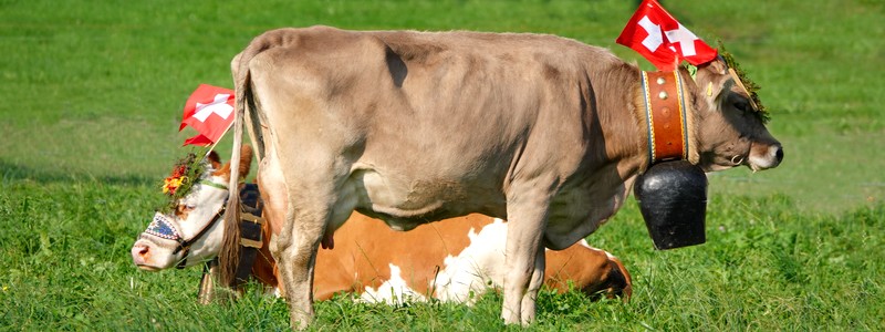 Bienvenue à Interlaken, notre camp de base pour 12 nuits&nbsp;!