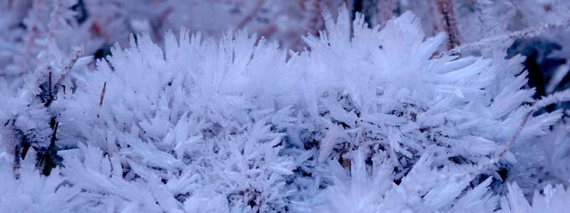 Ambiance hivernale à Sonogno, aux confins de la vallée de la&nbsp;Verzasca