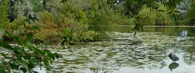 Que d’eau à Saint Omer et dans le marais&nbsp;audomarois!