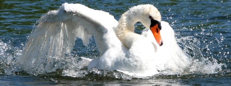 Bienvenue au Luxembourg : premières balades du côté d’Echternach, au cœur du Mullerthal&nbsp;!