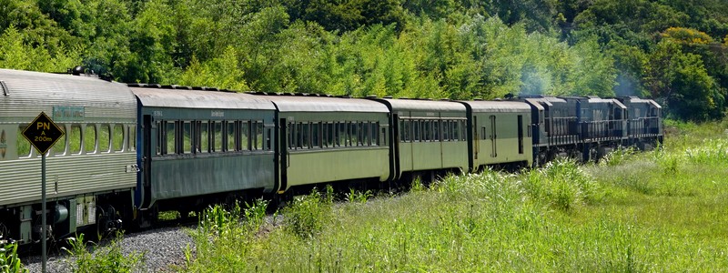 De Curitiba à Morretes, à bord du Serra Verde Express : un magnifique voyage en train, à travers des paysages de montagne luxuriants&nbsp;!