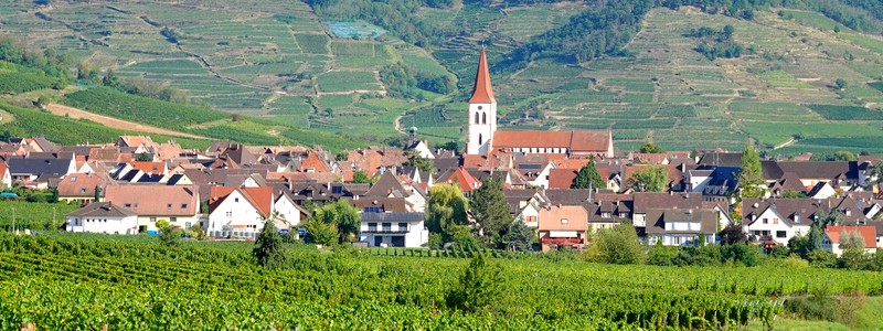 10 jours fabuleux dans le Haut-Rhin, au cœur du vignoble alsacien : Turckheim, Kaysersberg, Riquewihr et Ribeauvillé&nbsp;(1)