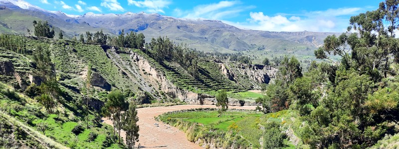 Trois jours au vert à Yanque, dans le canyon de&nbsp;Colca